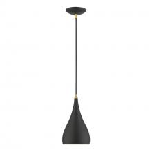 Livex Lighting 41171-14 - 1 Light Textured Black with Antique Brass Accents Mini Pendant