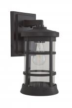 Craftmade ZA2314-BZ-C - Resilience 1 Light Medium Outdoor Wall Lantern in Bronze, Clear Lens