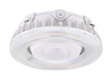 Nuvo 65/625 - LED Canopy Fixture; 40 Watt; CCT Selectable; White Finish; 100-277 Volt